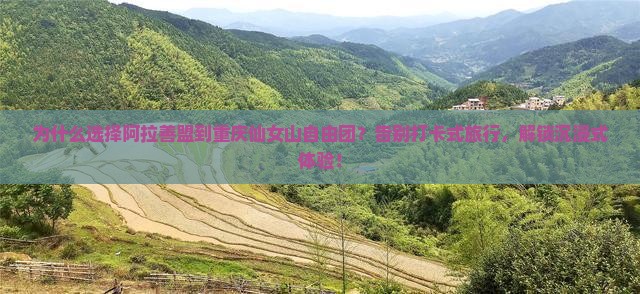 阿拉善盟到重庆仙女山自由团