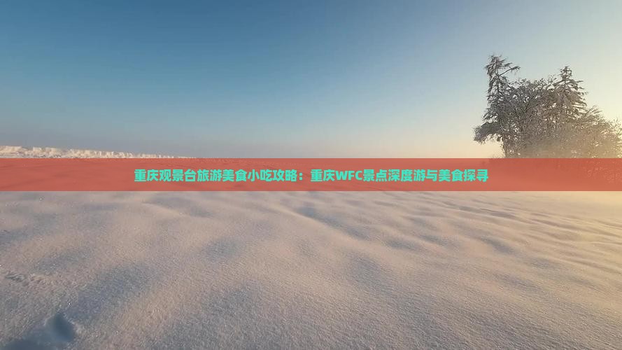 朝阳去重庆wfc观景台旅游小吃