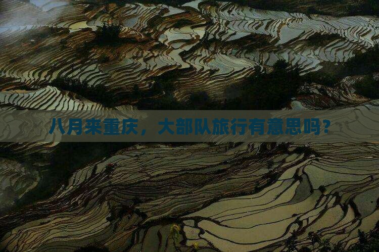 八月到重庆大型旅游团