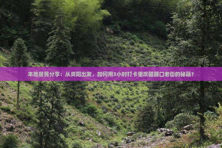资阳去重庆磁器口景点