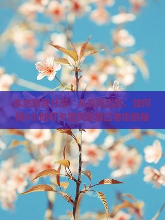 资阳去重庆磁器口景点
