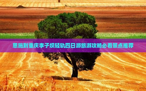 恩施到重庆李子坝轻轨站四日游