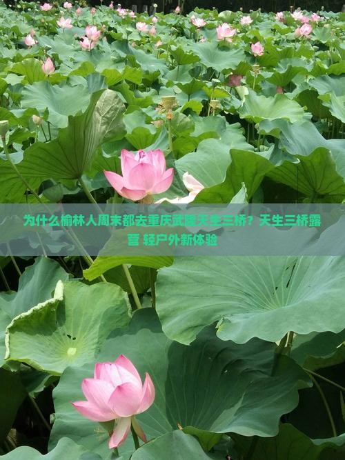 榆林到重庆武隆天生三桥二日游