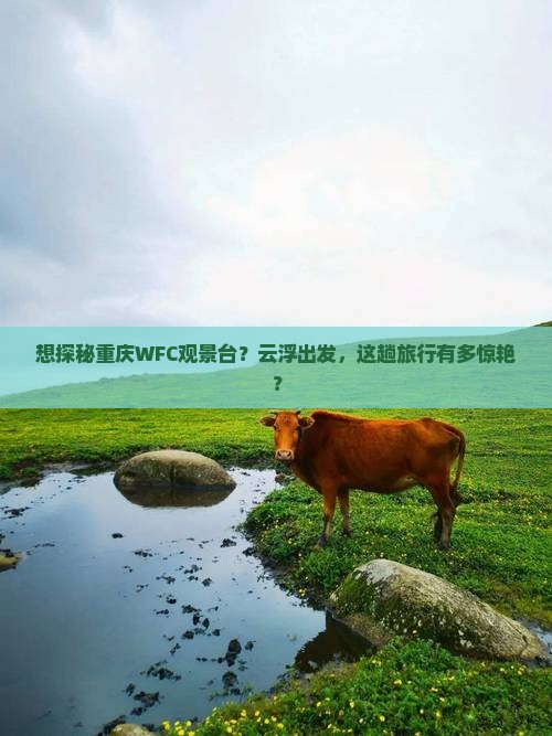 云浮去重庆wfc观景台景点