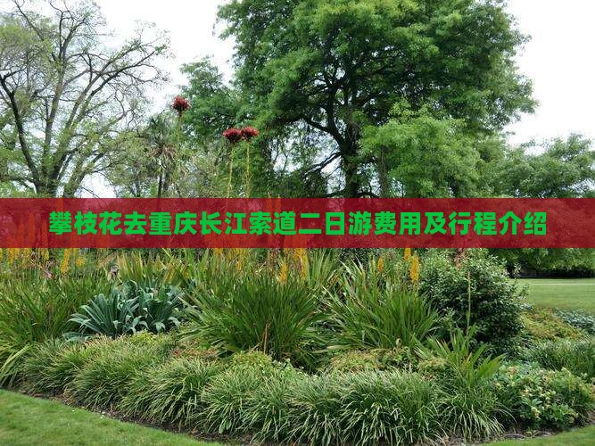 攀枝花去重庆长江索道二日游