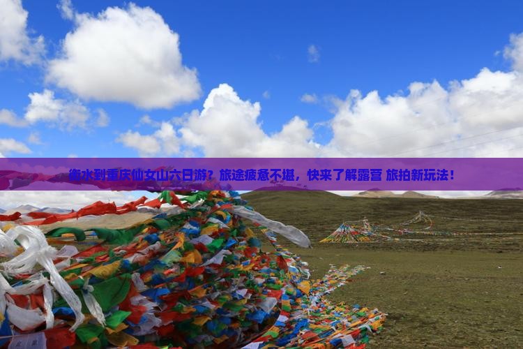衡水到重庆仙女山六日游