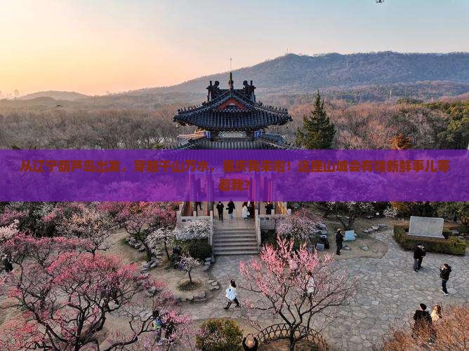 葫芦岛到重庆旅游