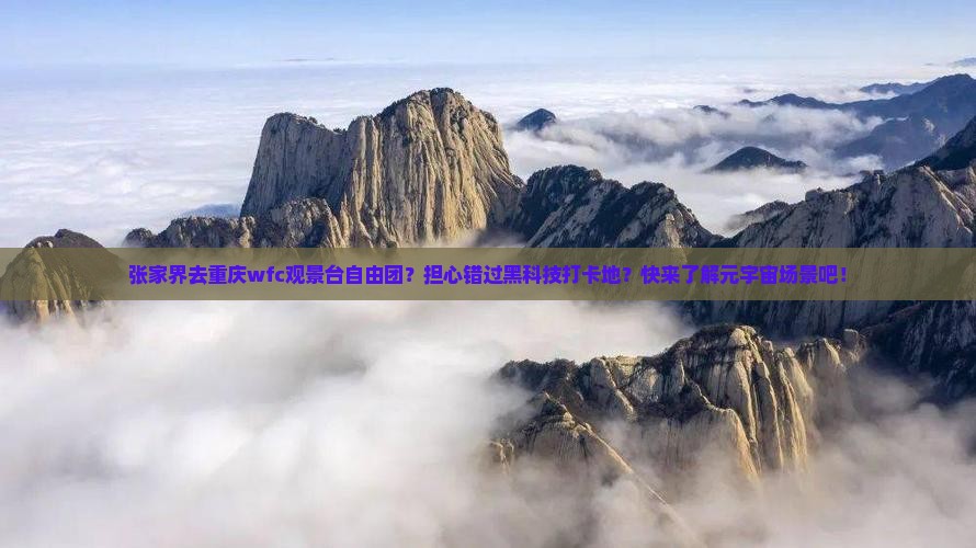 张家界去重庆wfc观景台自由团
