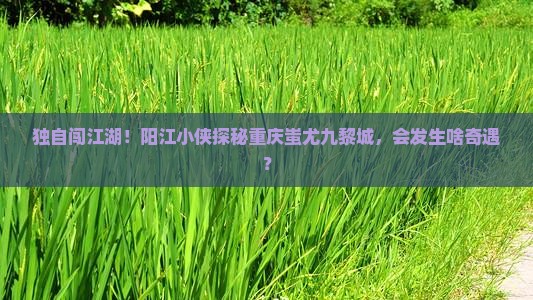阳江到重庆蚩尤九黎城个人游