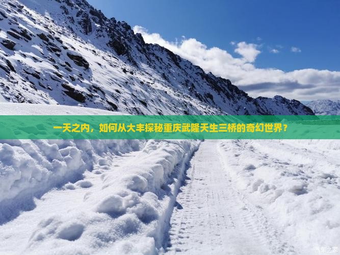 大丰去重庆武隆天生三桥一日