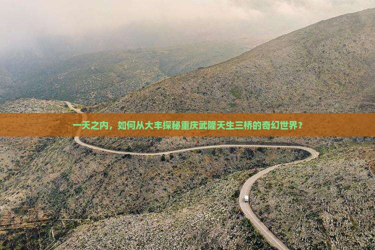 大丰去重庆武隆天生三桥一日