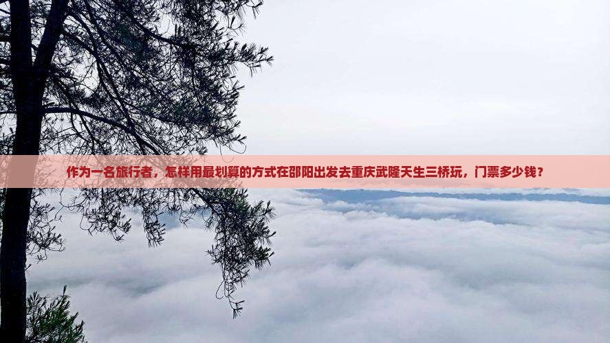 邵阳去重庆武隆天生三桥门票