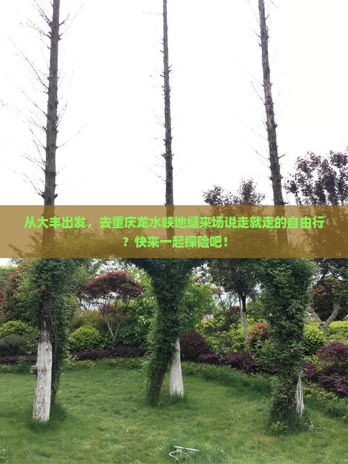 大丰到重庆龙水峡地缝自由团