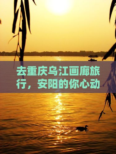 安阳去重庆乌江画廊旅游