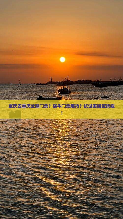 肇庆去重庆武隆门票