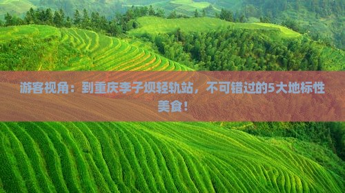 开封去重庆李子坝轻轨站必去地 开封去重庆李子坝轻轨站必去地