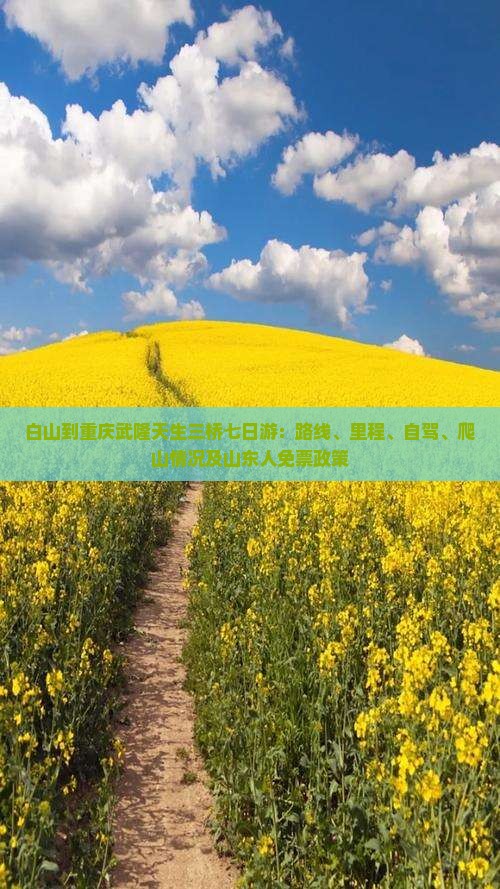 白山到重庆武隆天生三桥七日游