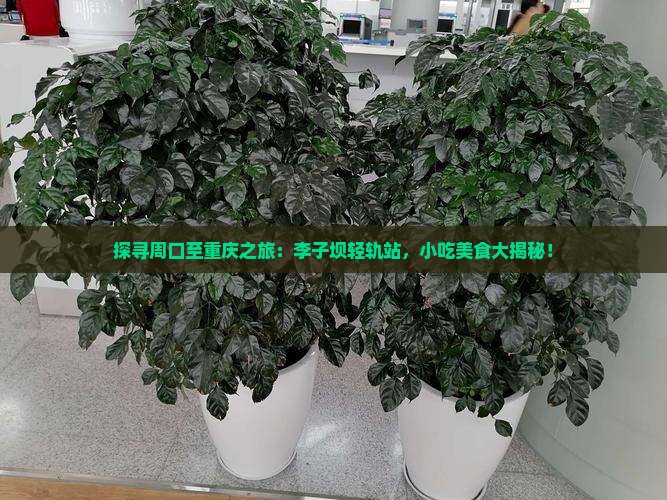 周口去重庆李子坝轻轨站旅游小吃