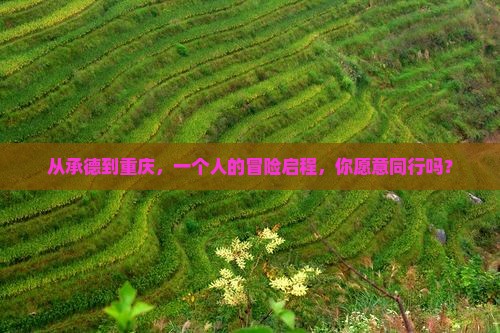 承德去重庆个人游