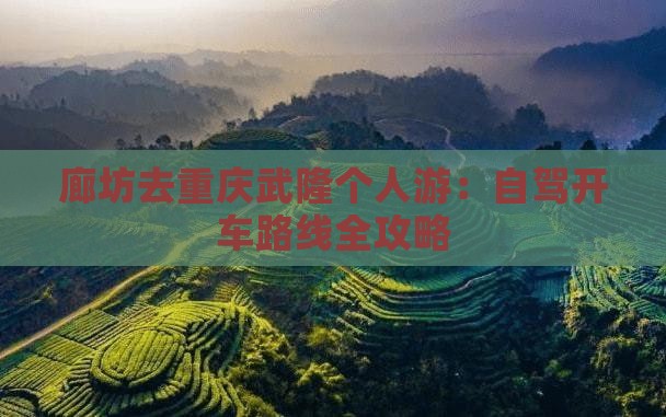 廊坊去重庆武隆个人游
