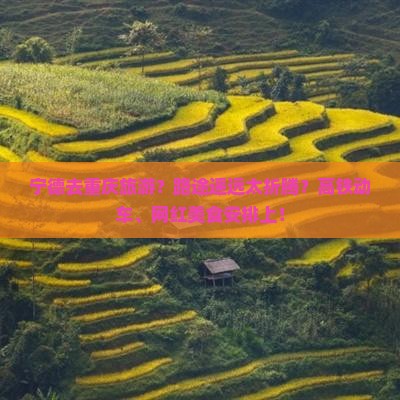宁德去重庆旅游