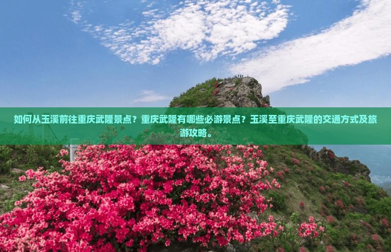玉溪去重庆武隆景点