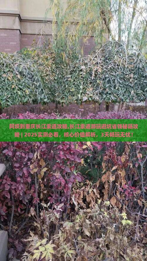 阿坝到重庆长江索道攻略
