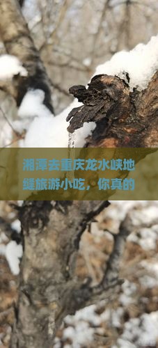 湘潭去重庆龙水峡地缝旅游小吃 湘潭去重庆龙水峡地缝旅游小吃