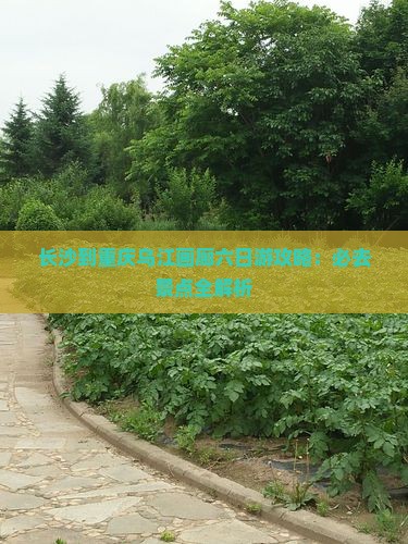 长沙到重庆乌江画廊六日游