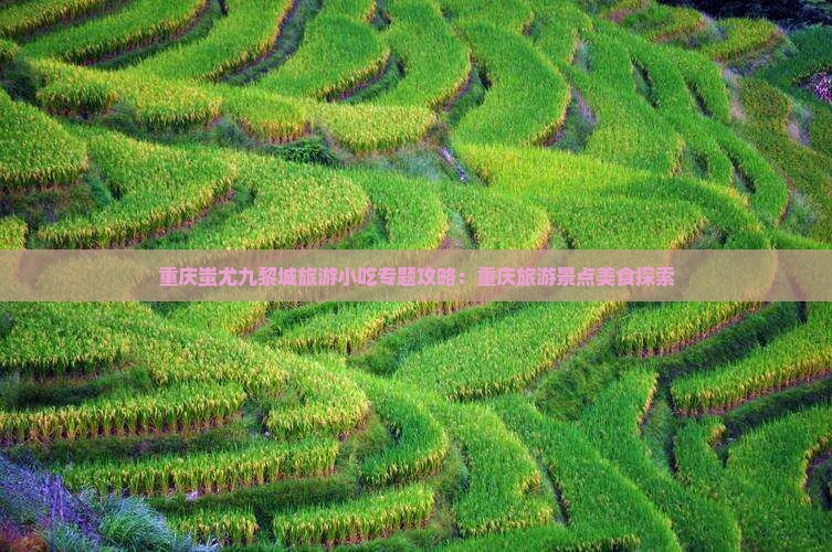 南阳到重庆蚩尤九黎城旅游小吃