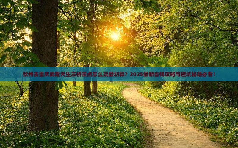 钦州去重庆武隆天生三桥景点