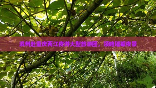 滨州去重庆两江夜游大型旅游团