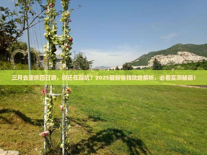 三月去重庆四日游