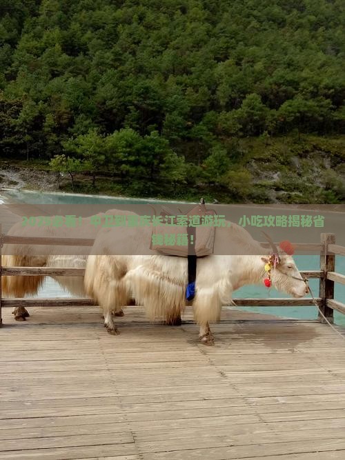 中卫到重庆长江索道旅游小吃