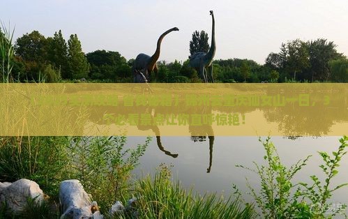 锦州去重庆仙女山一日