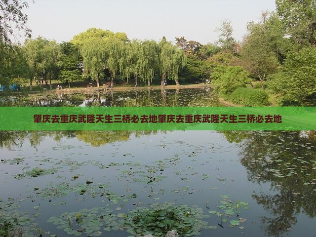 肇庆去重庆武隆天生三桥必去地