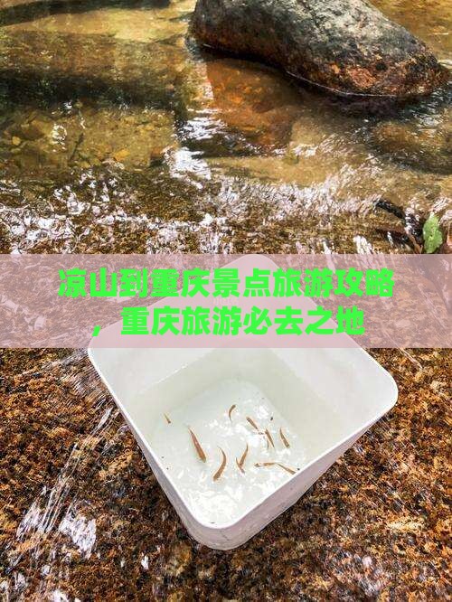 凉山到重庆哪里玩