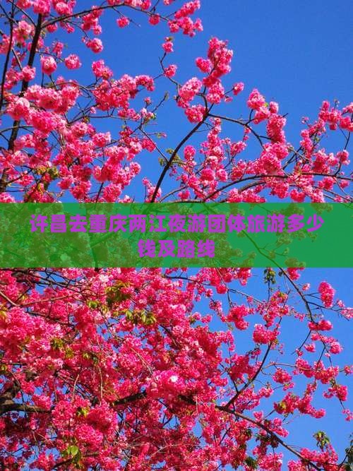 许昌去重庆两江夜游团体旅游