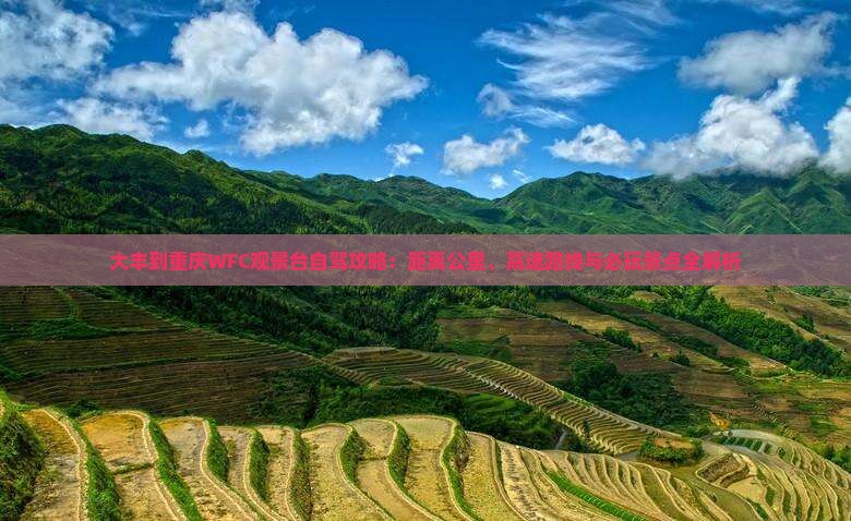 大丰到重庆wfc观景台哪里玩