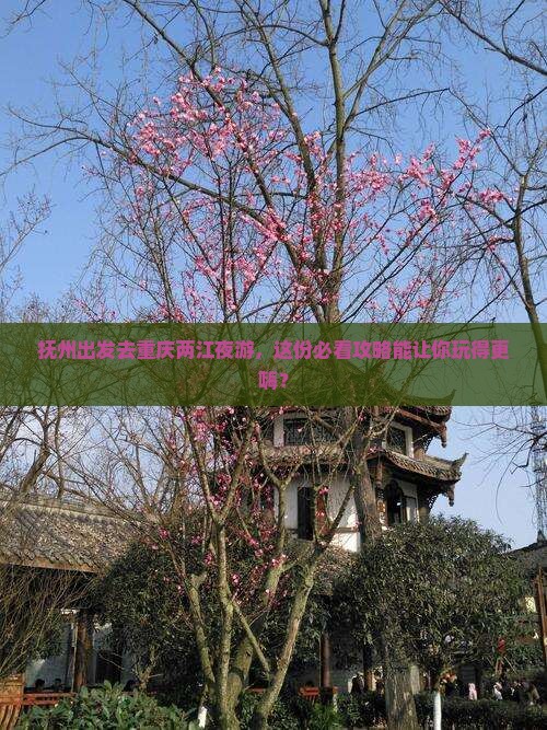 抚州到重庆两江夜游团体旅游