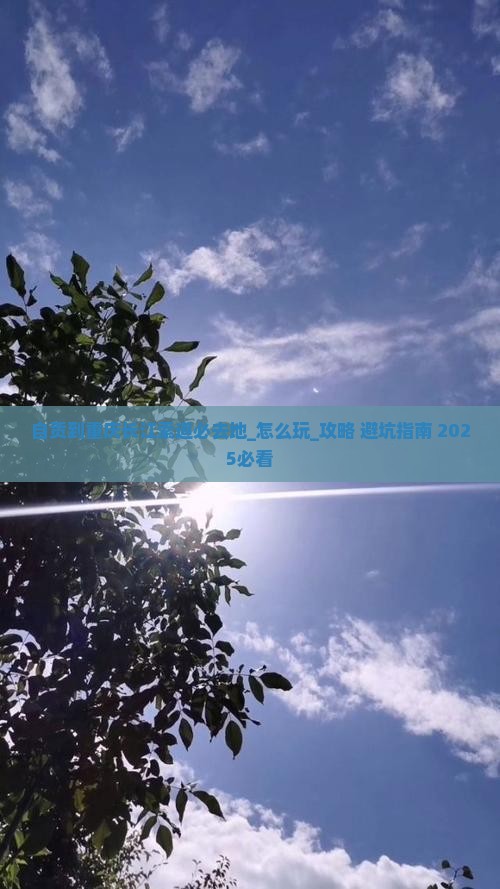 自贡到重庆长江索道必去地