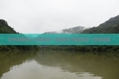 泸州去重庆wfc观景台一日