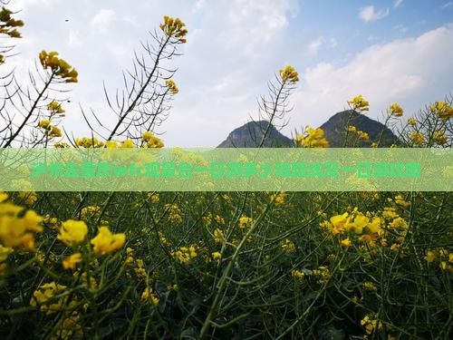 泸州去重庆wfc观景台一日