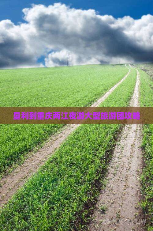 垦利到重庆两江夜游大型旅游团