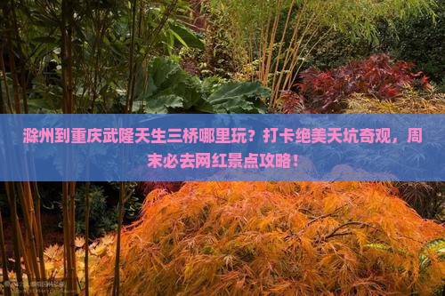 滁州到重庆武隆天生三桥哪里玩