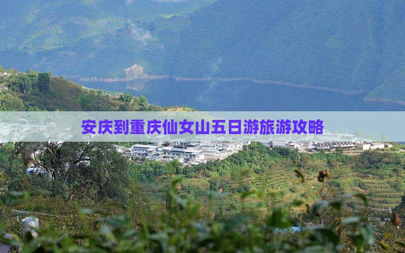 安庆到重庆仙女山五日游 安庆到重庆仙女山五日游