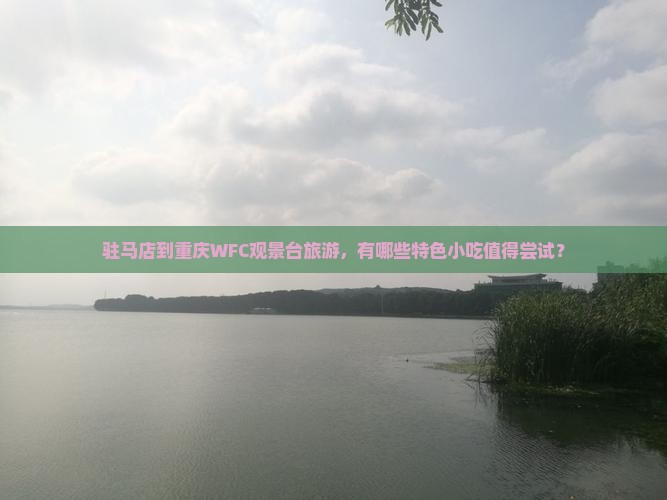 驻马店到重庆wfc观景台旅游小吃