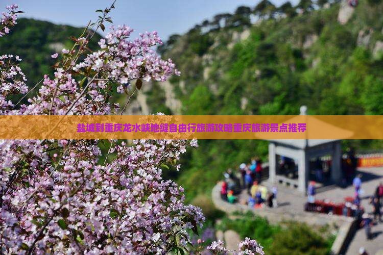 盐城去重庆龙水峡地缝自由行