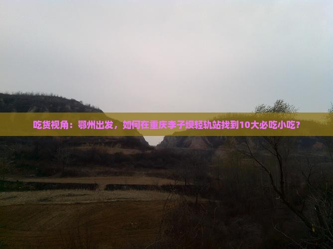 鄂州去重庆李子坝轻轨站旅游小吃