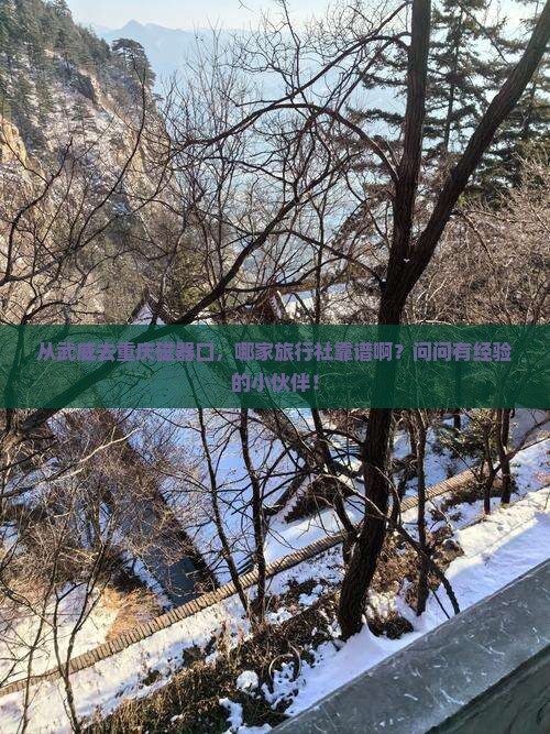 武威到重庆磁器口旅行社
